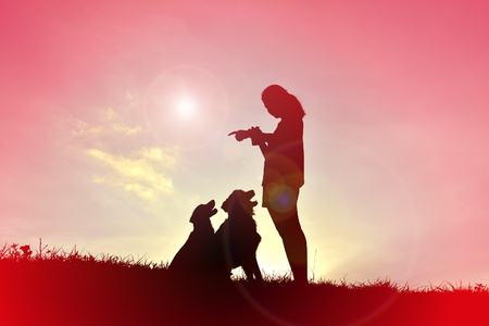 Silhouette women playing with dog at sunsetの写真素材