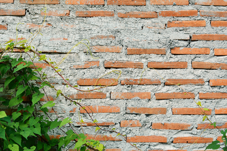 old wall background for textureの写真素材