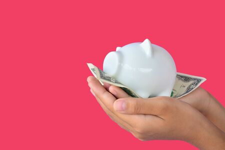 Hand holding dollar banknote and piggy bank . Soft focusの写真素材