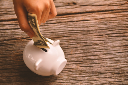 Dollar banknotes and piggy bank on old wood. selective focusの写真素材