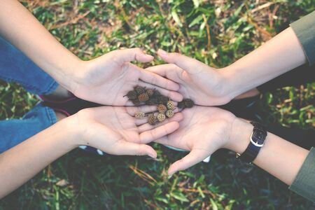 Happy women hold hands on nature background hipster toneの写真素材