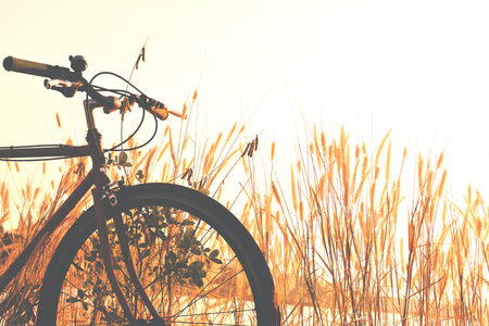 Silhouette of bicycle on grassの写真素材