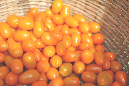 Close up tomato on basket in the gardenの写真素材