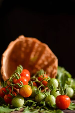 Still life group of tomato in basket on old wood and black background, soft focusの写真素材