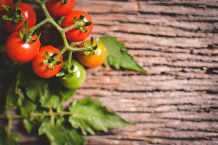 Hipster tone Top view group of tomato on old wood background, selective and soft focusの写真素材