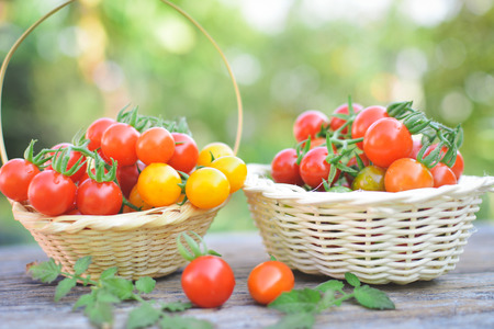 Tomato in basket on wood from Thailand selective and soft focusの写真素材