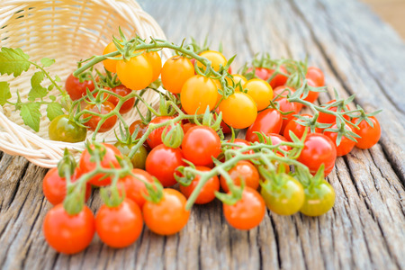 Hipster tone Top view group of tomato on old wood background, selective and soft focusの写真素材