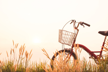 Vintage of bicycle on grass field, selective and soft focusの写真素材