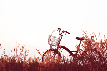 Vintage of bicycle on grass field, selective and soft focusの写真素材