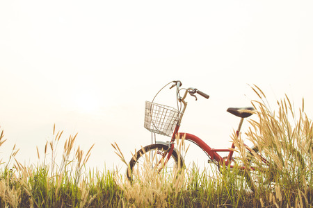 Vintage of bicycle on grass field, selective and soft focusの写真素材