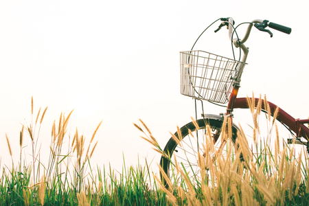 Vintage of bicycle on grass field, selective and soft focusの写真素材