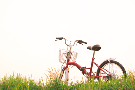 Vintage of bicycle on grass field, selective and soft focusの写真素材