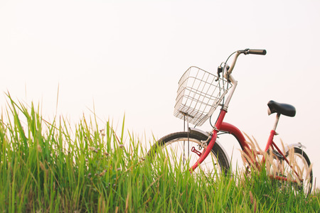 Vintage of bicycle on grass field, selective and soft focusの写真素材