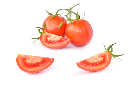 Tomato leaf on white backgroundの写真素材