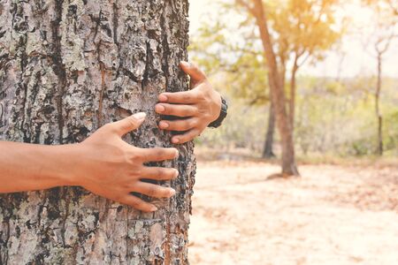 Man hug big tree color of hipster tone selective soft focus, concept nature and peopleの写真素材