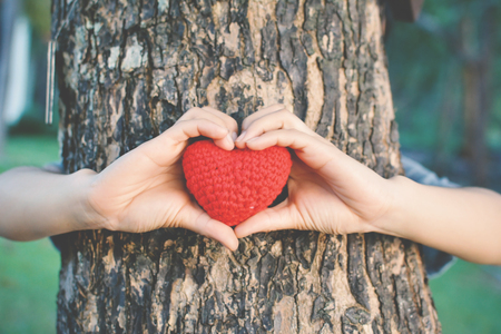 Hands female holding red heart on nature background ,concept save the worldの写真素材