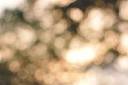 Beautiful tree bokeh sunset background for textureの写真素材