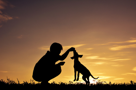 Silhouette boy playing with little dog on the sky sunset color of vintage toneの写真素材