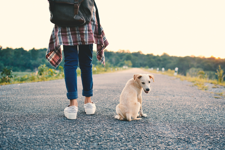 Happy girl playing with little dog in nature background, travel on holiday color of vintage tone and soft focusの写真素材