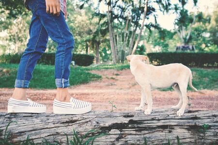 Happy girl playing with little dog in nature background, travel on holiday color of vintage tone and soft focusの写真素材