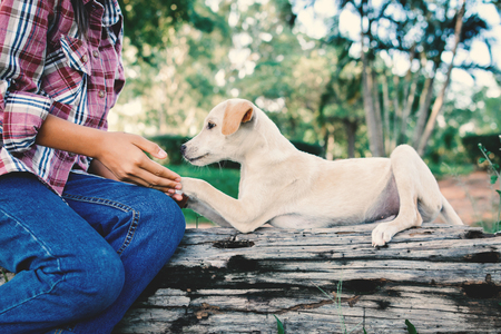Happy girl playing with little dog in nature background, travel on holiday color of vintage tone and soft focusの写真素材