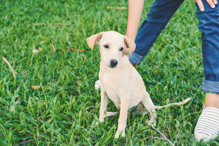 Happy girl playing with little dog in nature background, travel on holiday color of vintage tone and soft focusの写真素材