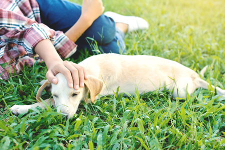 Happy girl playing with little dog in nature background, travel on holiday color of vintage tone and soft focusの写真素材