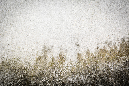 Old wall background for textureの写真素材