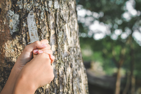 Close up hands holding knife on big tree in forest, concept destructive natureの写真素材