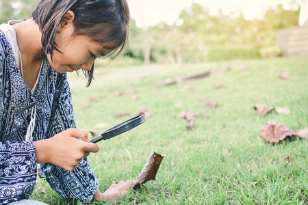 Asian girl hand holding magnifying glass in garden color of hipster tone selective soft focus, concept natural explorerの写真素材