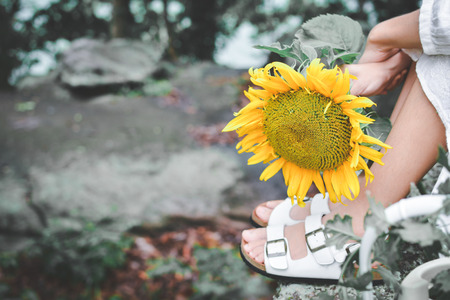 Hipster women hand holding sunflower in forest backgroundの写真素材