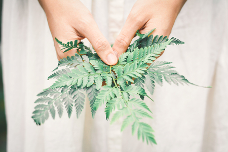 Hands female holding green fern leaves hipster toneの写真素材