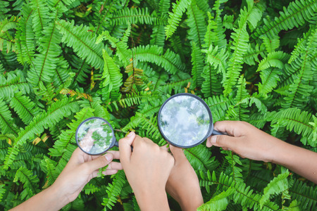 Close up hands holding magnifying glass in garden color of hipster tone selective soft focus, concept natural explorerの写真素材