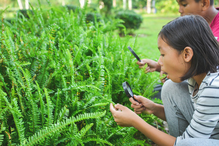 Close up hands holding magnifying glass in garden color of hipster tone selective soft focus, concept natural explorerの写真素材