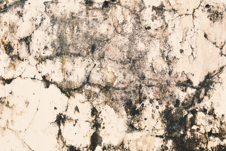 Old wall background for textureの写真素材