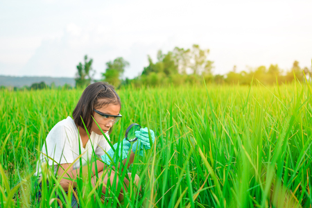 Girl hands holding magnifying glass in rice field, concept natural explorerの写真素材