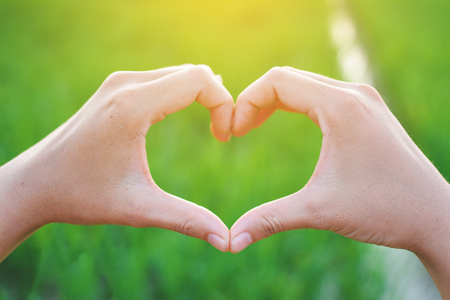 Hands like heart shape and green natureの写真素材