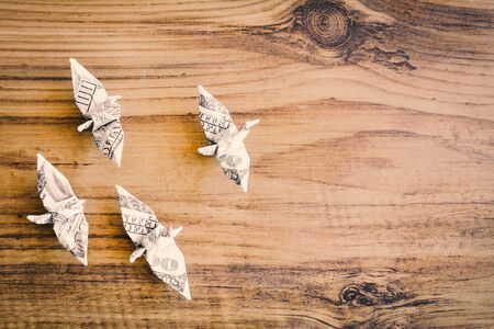 Close up dollar bird on wood table leader concept, color vintage style ,selective and soft focusの写真素材