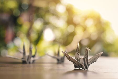 Close up dollar bird on wood table leader concept, color vintage style ,selective and soft focusの写真素材