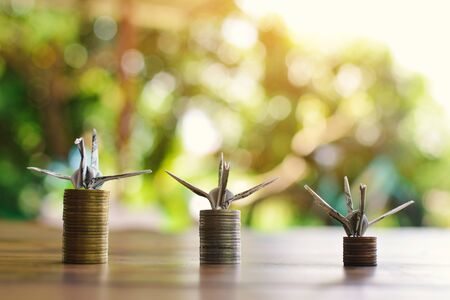 Close up dollar bird and coin on wood table, color vintage style ,selective and soft focusの写真素材