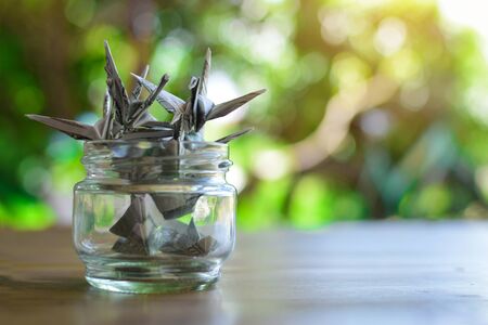 Close up dollar bird in glass jar on wood table, color vintage style ,selective and soft focusの写真素材