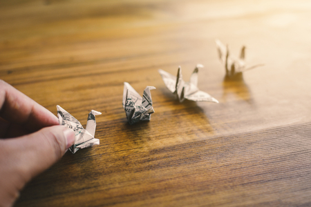 Close up dollar bird on wood table, color vintage style ,selective and soft focusの写真素材