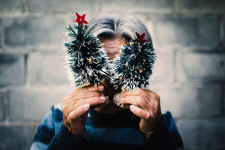 Happy old women holding mini pine tree , Merry Christmas and Happy New year concept,selective and soft focusの写真素材