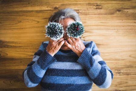 Happy old women holding mini pine tree , Merry Christmas and Happy New year concept,selective and soft focusの写真素材