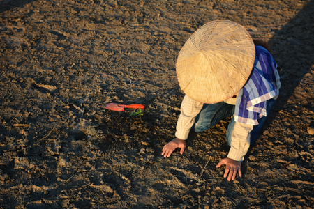 Asian woman and little green plant on cracked dry ground, concept drought  crisis environment save the world,selective and soft focusの写真素材