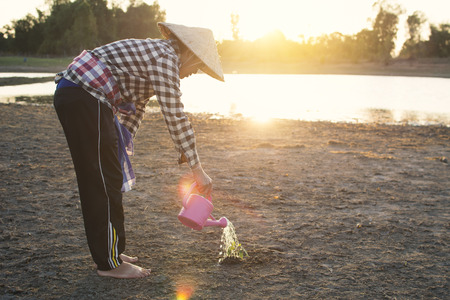 Asian man watering little green plant on cracked dry ground, concept drought and crisis environment,selective and soft focusの写真素材