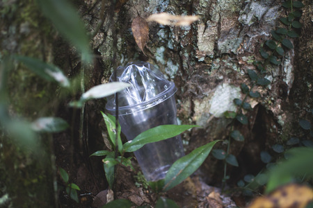 Plastic cap garbage on forestの写真素材