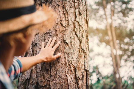 Man touching big tree color of hipster tone selective soft focus, concept nature and people protect environmentの写真素材