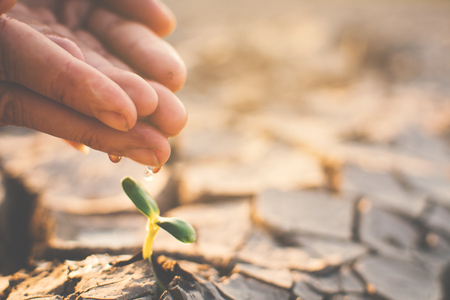 Human hand watering little green plant on crack dry ground, concept drought and save the worldの写真素材