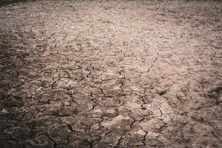 crack dry background, concept droughtの写真素材